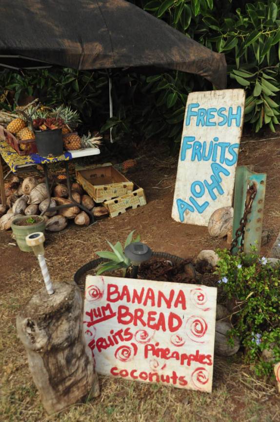 Barraca de beira de estada vendendo delicioso bolo de banana, muito comum emt Maui, no Havaí